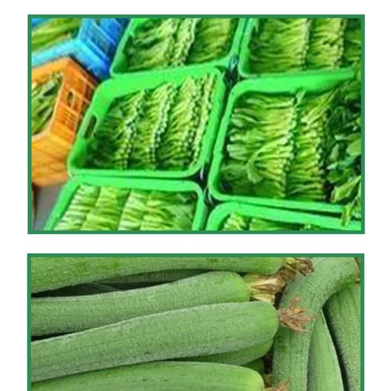 礼品批发行业的最新趋势：解锁商业新机遇